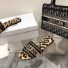 Dior Slippers 010